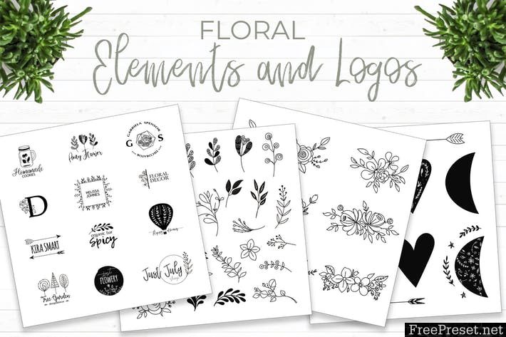 Floral elements and logos PPGN3L - AI, EPS, PNG, PSD