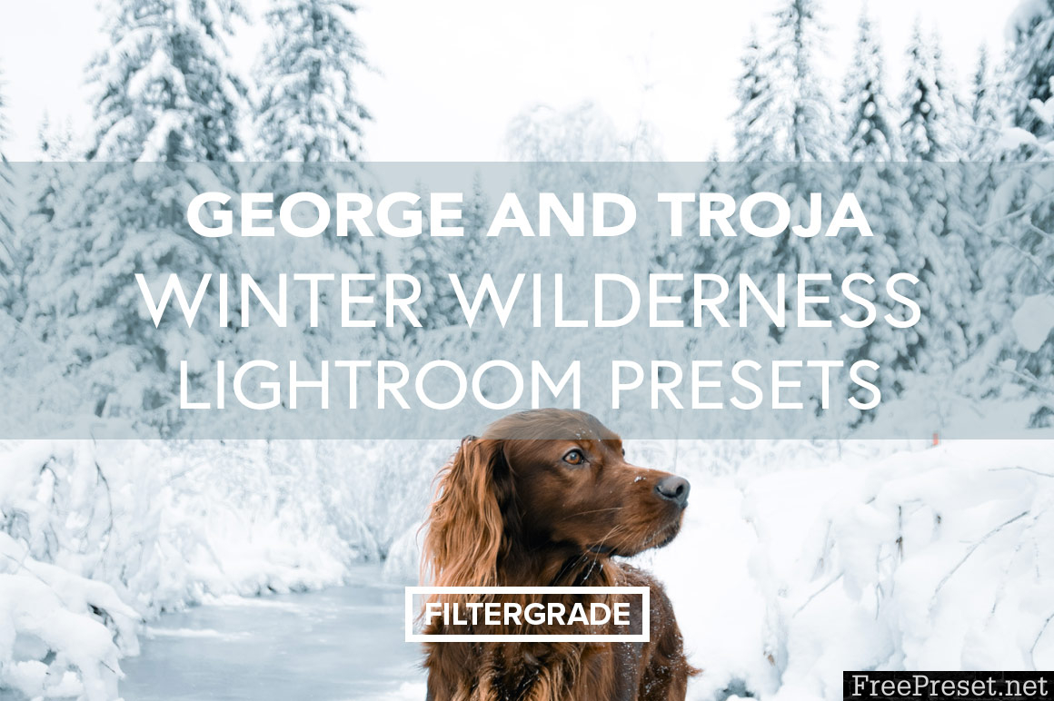 George and Troja Winter Wilderness Lightroom Presets