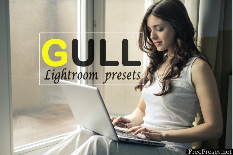 Gull Instagram Blogger Lightroom Presets