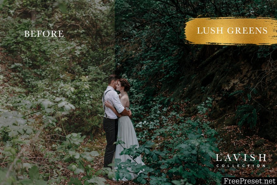 JAYDE & UMBER Photography - Lush Greens LR & ACR Presets