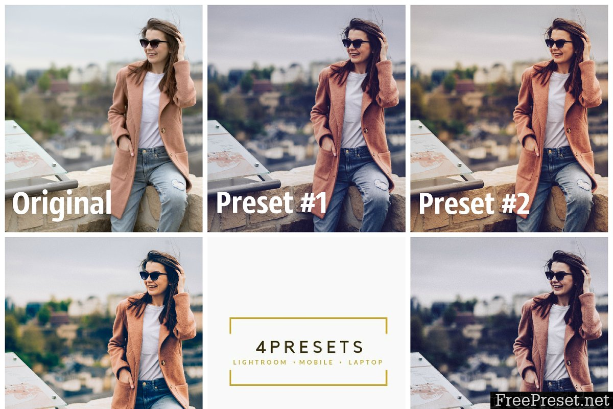 Lightroom mobile & desktop presets 3896975