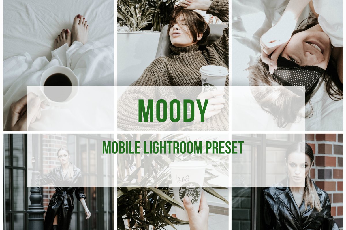 Lightroom Mobile Preset Moody 3908487