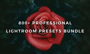 Lightroom Presets Bundle Master Kit 1395680