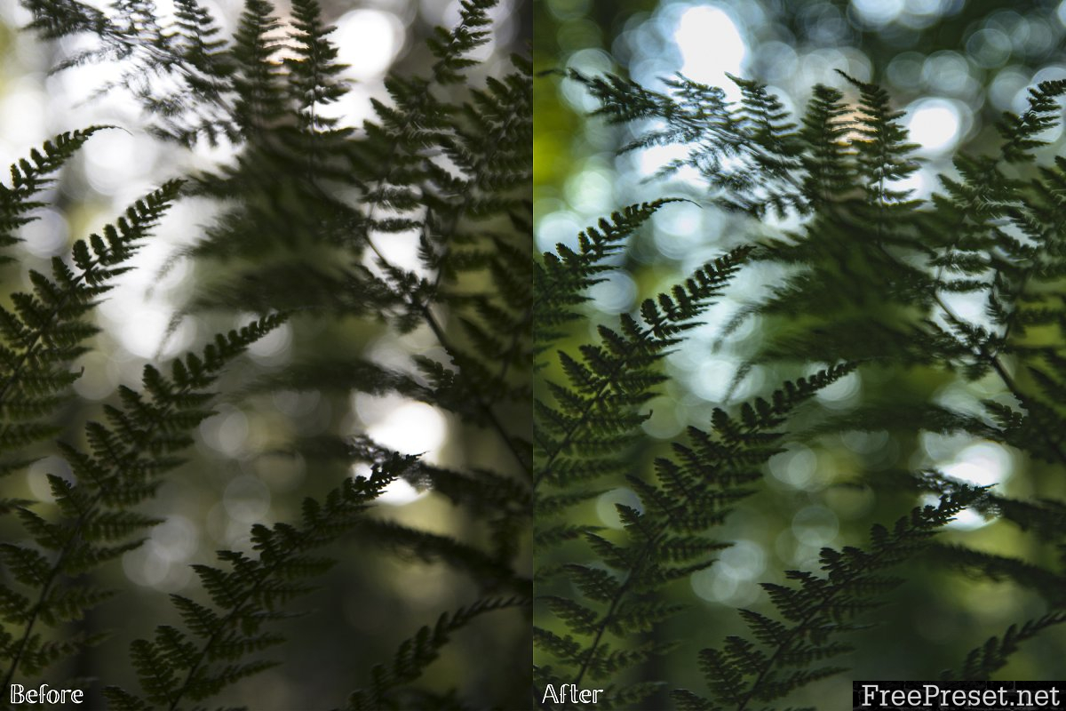 Lightroom Presets - Forest No. 1 2238595