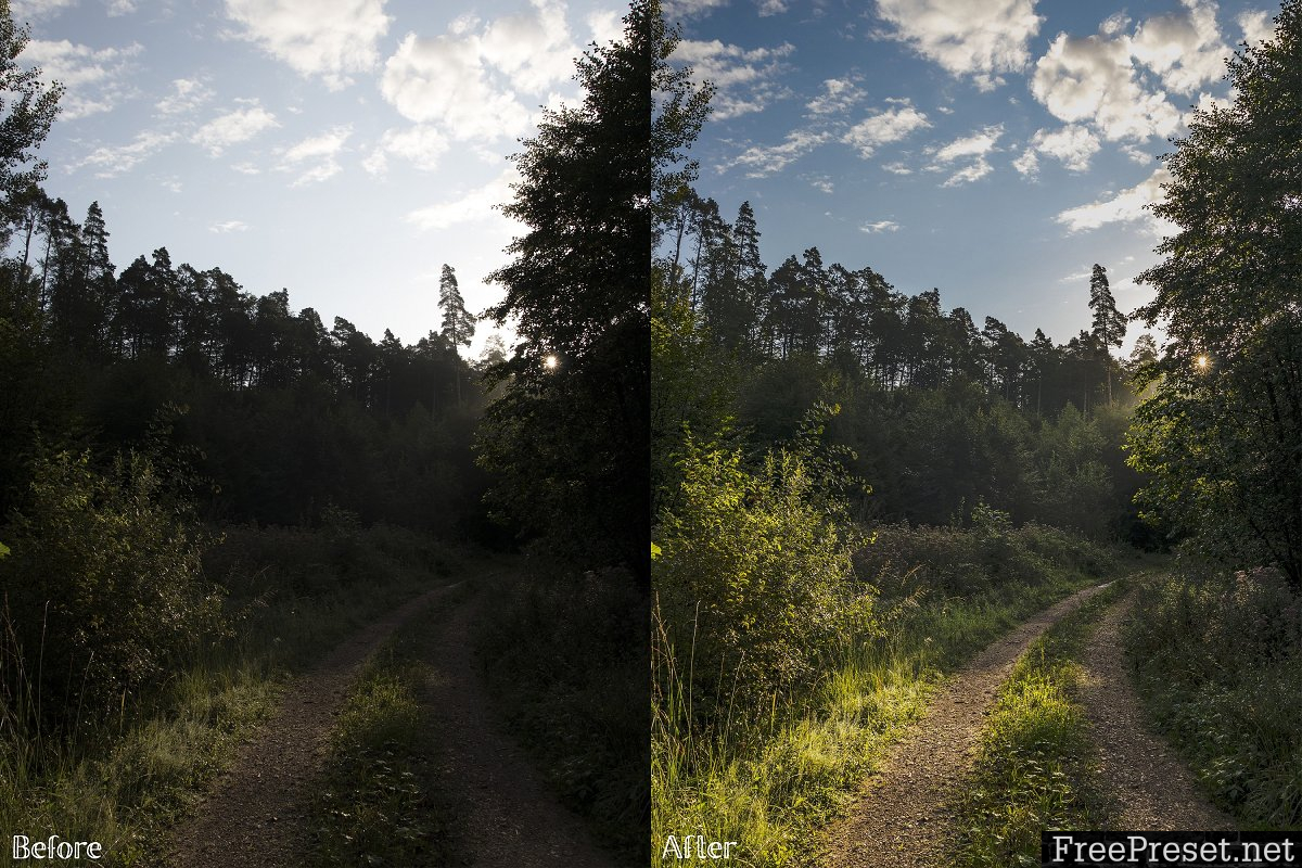 Lightroom Presets - Forest No. 1 2238595