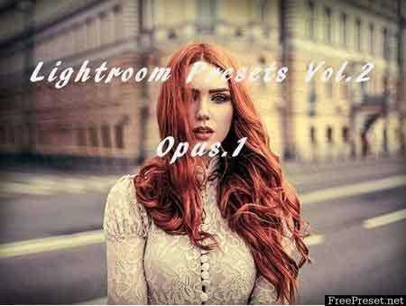 Lightroom Presets Vol.2 2016264