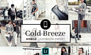 Mobile Lightroom Preset Cold Breeze 3321735