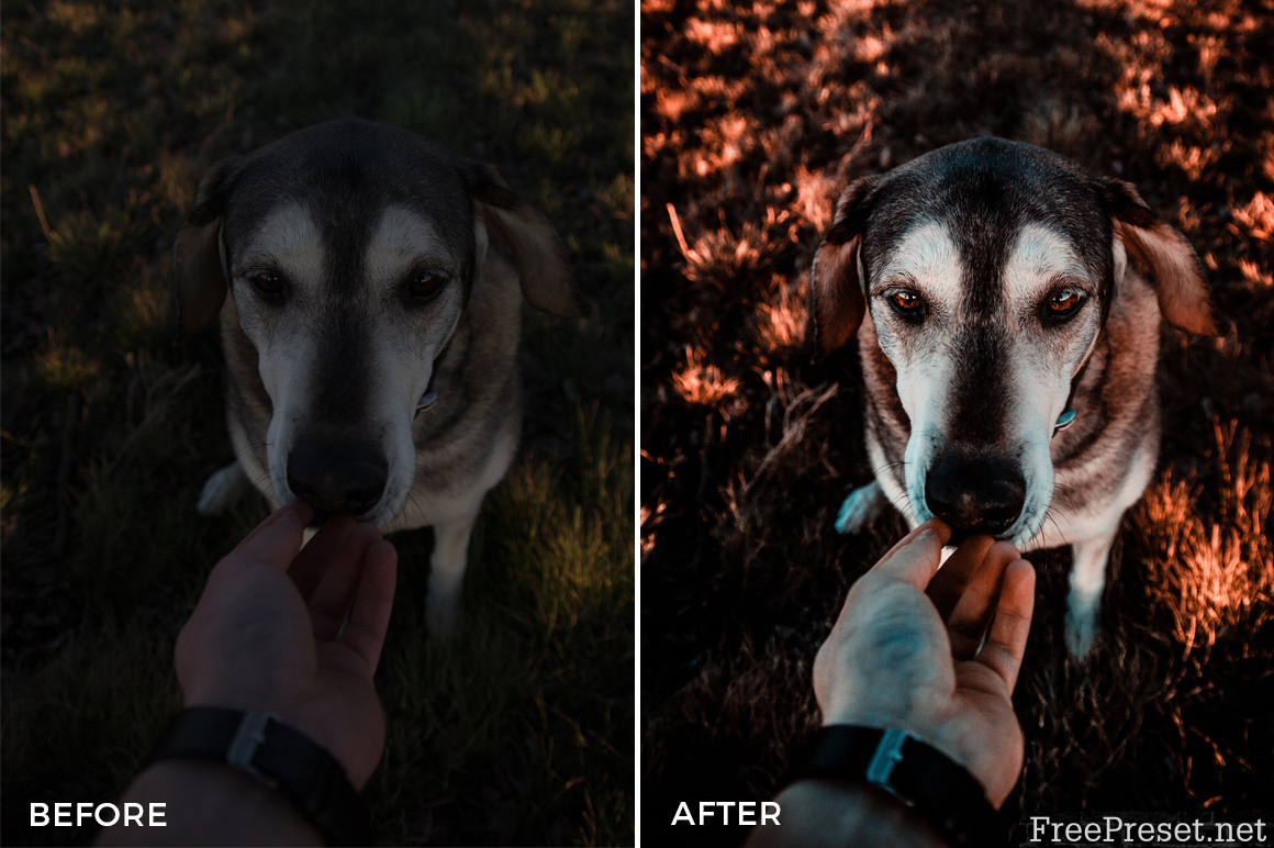 Nico Hoppe Cool Tones Lightroom Presets