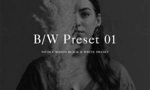 Nicole Mason Photography - Black + White 01 Lightroom Preset