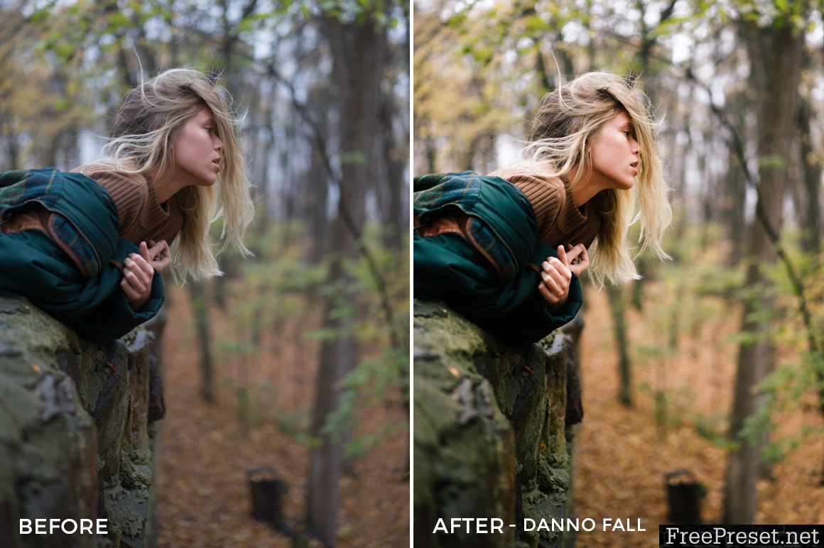 Noah Wolfe Lightroom Presets