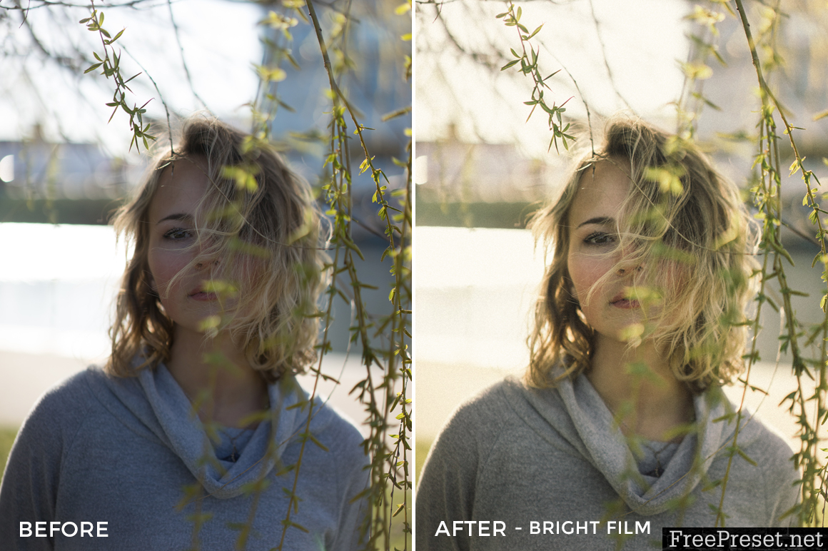 Noah Wolfe Lightroom Presets