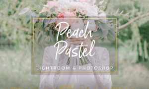 Peach Pastel Wedding Preset LR PS 1344246