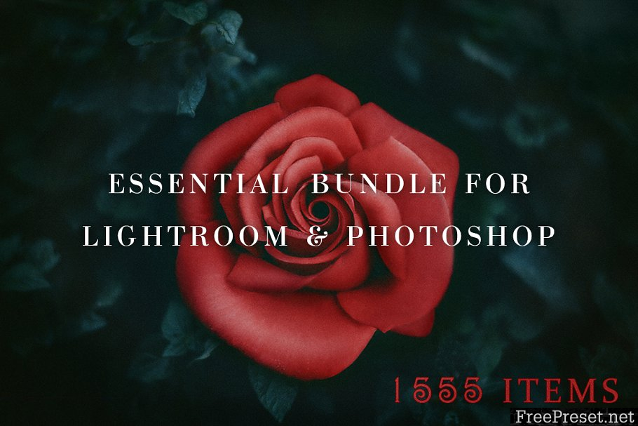 Photo Editing Bundle - 1555 items 1706400