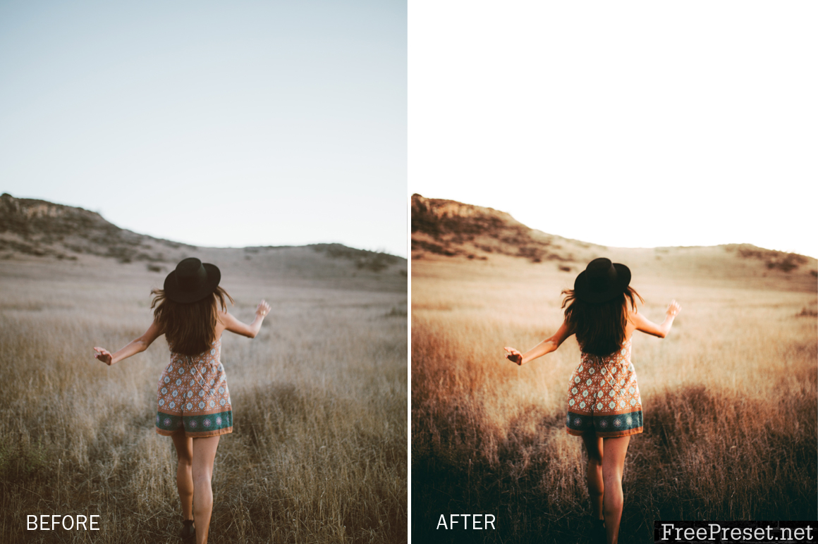 Ronald Ong Lightroom Presets