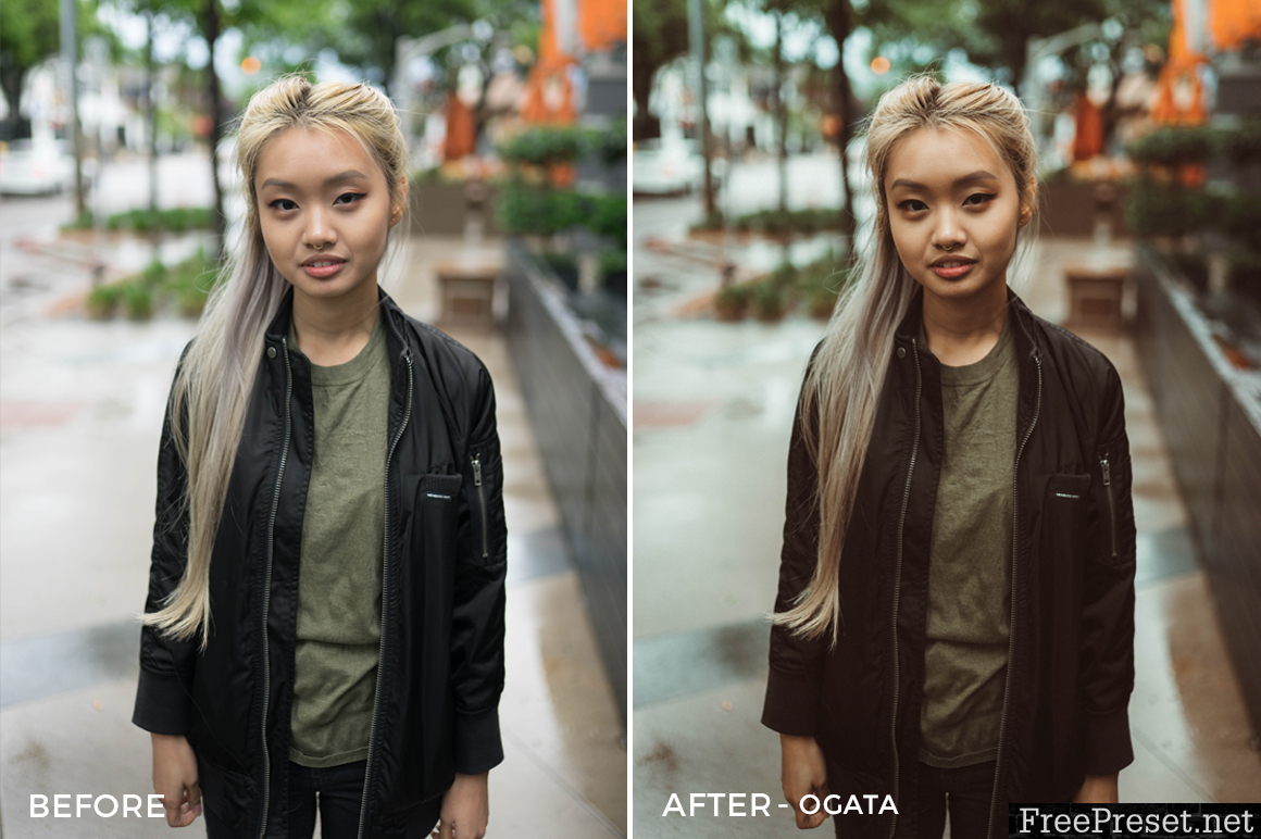 Sasebo Lightroom Presets