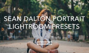 Sean Dalton Portrait Lightroom Presets