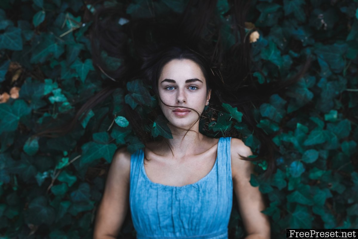 Soften and Blur Lightroom Presets 1514067