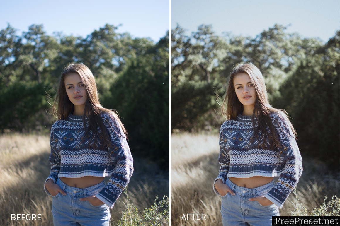 Stewart Clementz Lightroom Presets