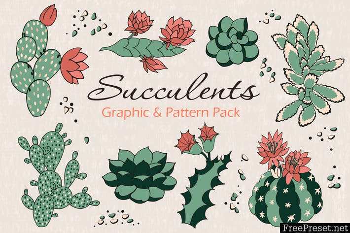 Succulents 8XR2UZ - EPS, JPG, PNG