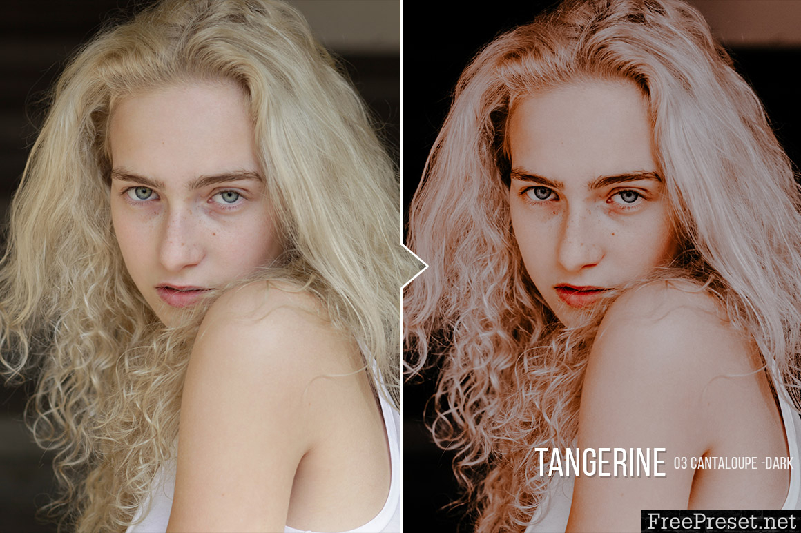 Tangerine - 20 Portrait Presets for Lightroom & ACR 20483430