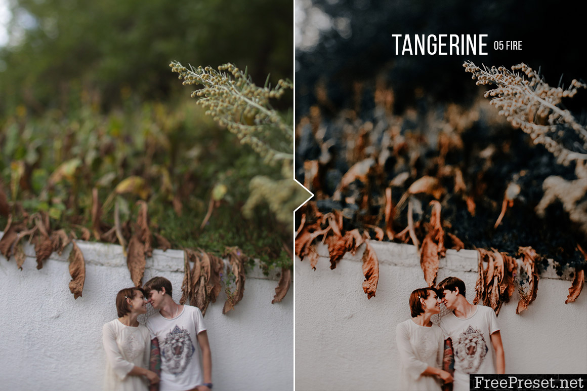 Tangerine - 20 Portrait Presets for Lightroom & ACR 20483430