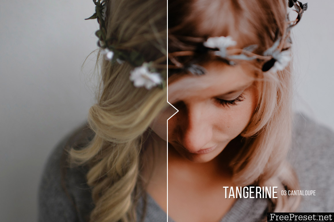 Tangerine - 20 Portrait Presets for Lightroom & ACR 20483430