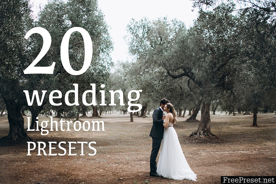 TOP20 WEDDING Lightroom Presets 1476805