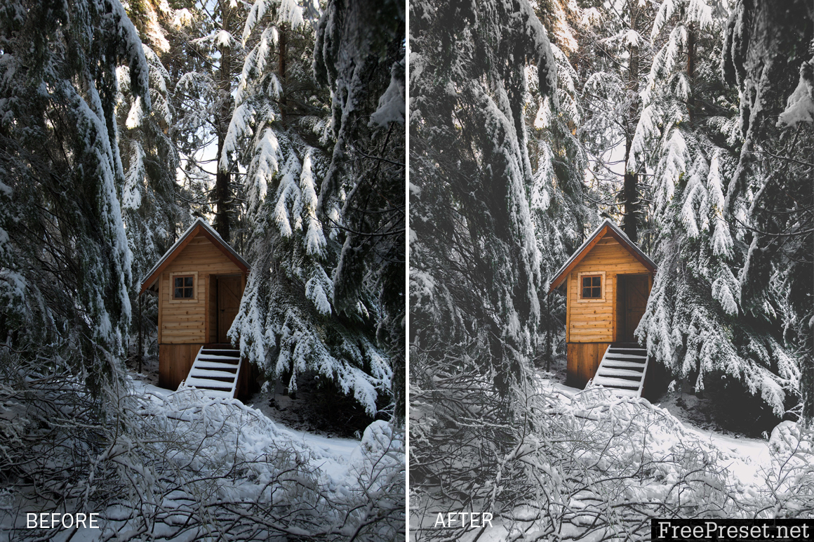 VancityWild Winter Escape Lightroom Presets
