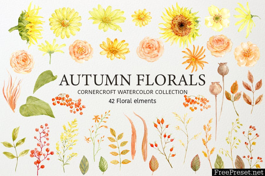 Watercolor Autumn Florals Collection PWPG4P - PNG, JPG