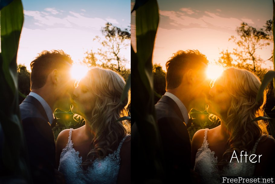 Wedding 201 Lightroom Presets Bundle 1951505