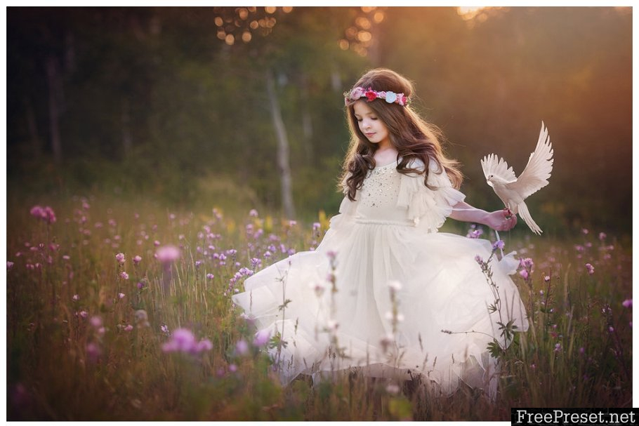 White Wings Photo Overlays PNG 1368510