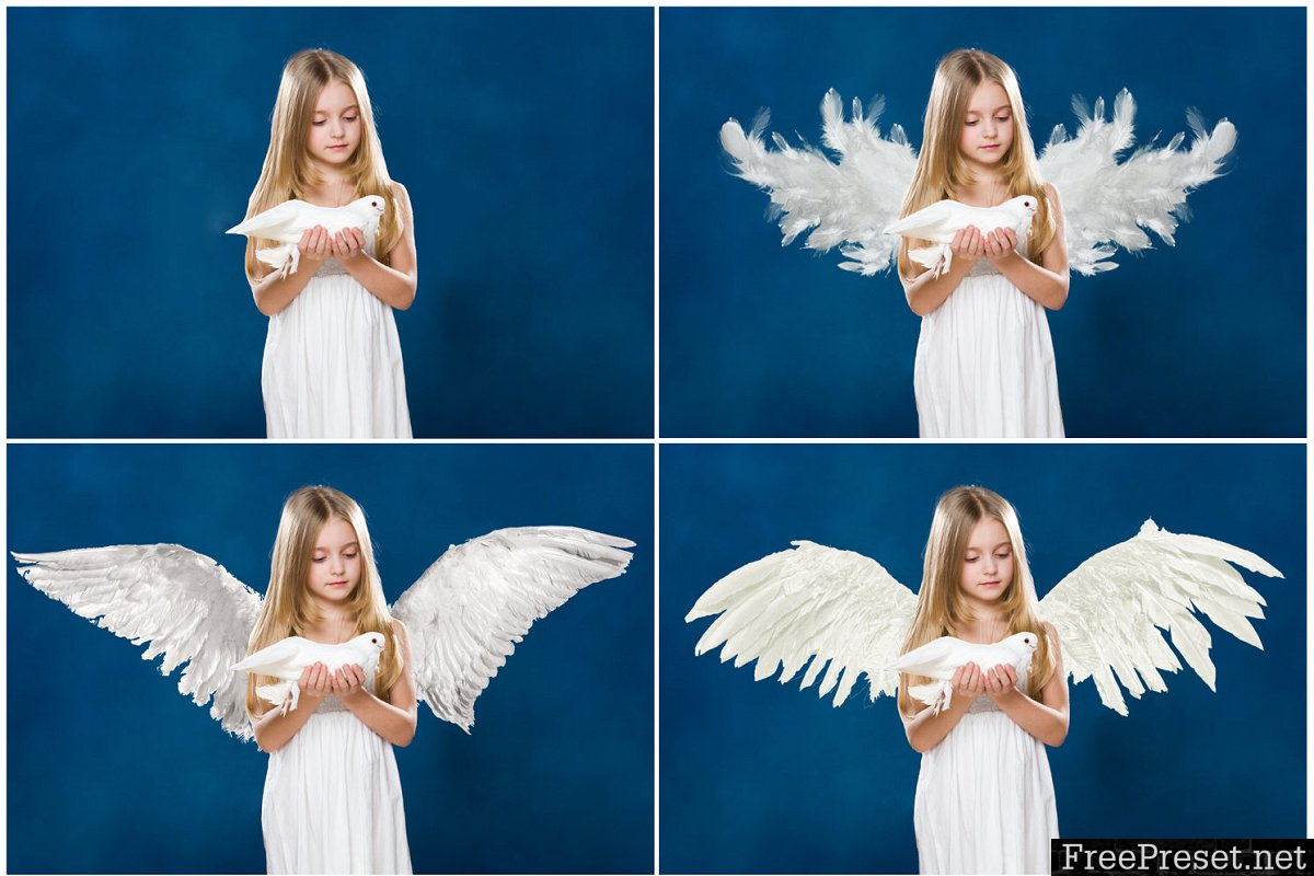 White Wings Photo Overlays PNG 1368510