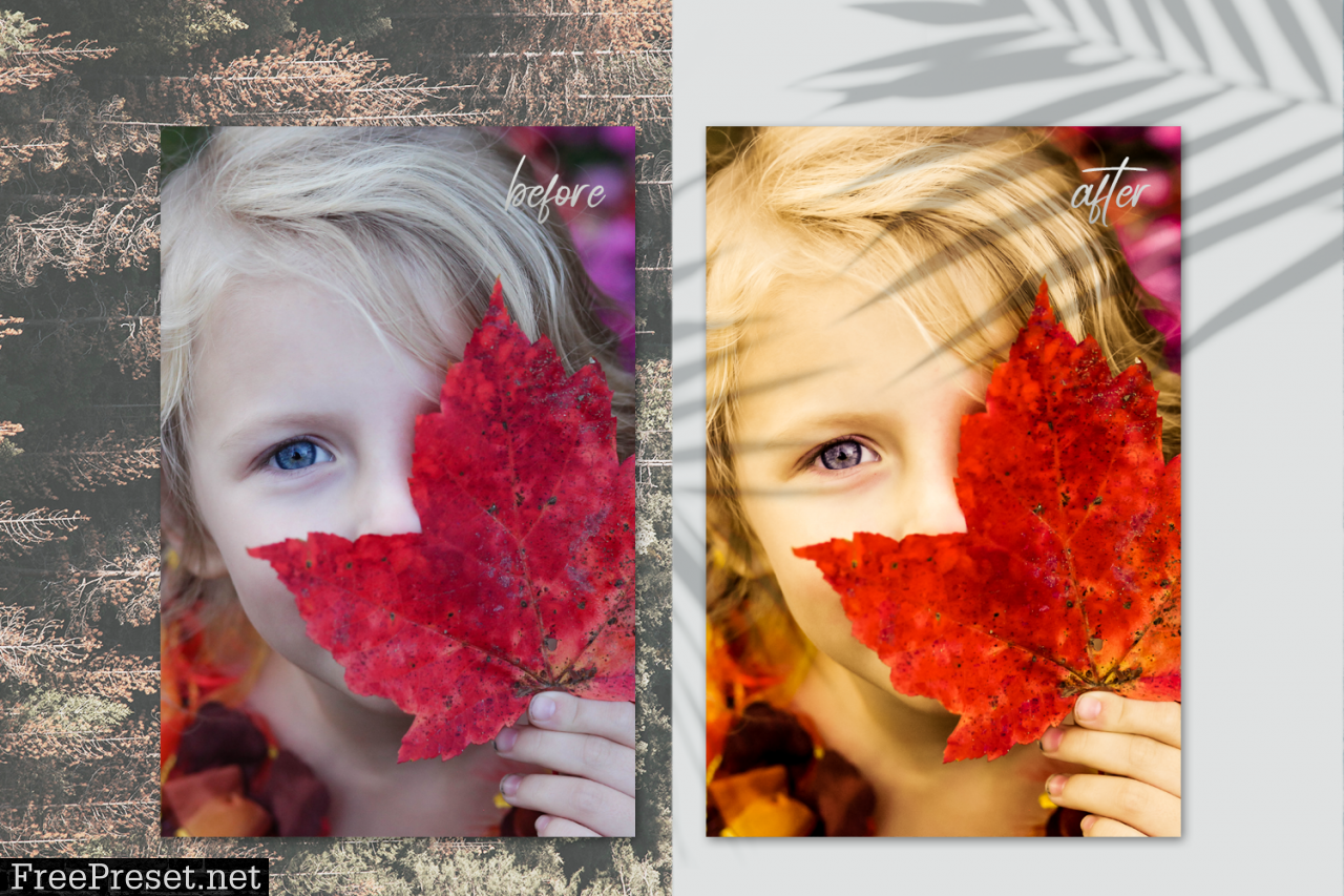 Autumn Presets Summer Lightroom 1695831