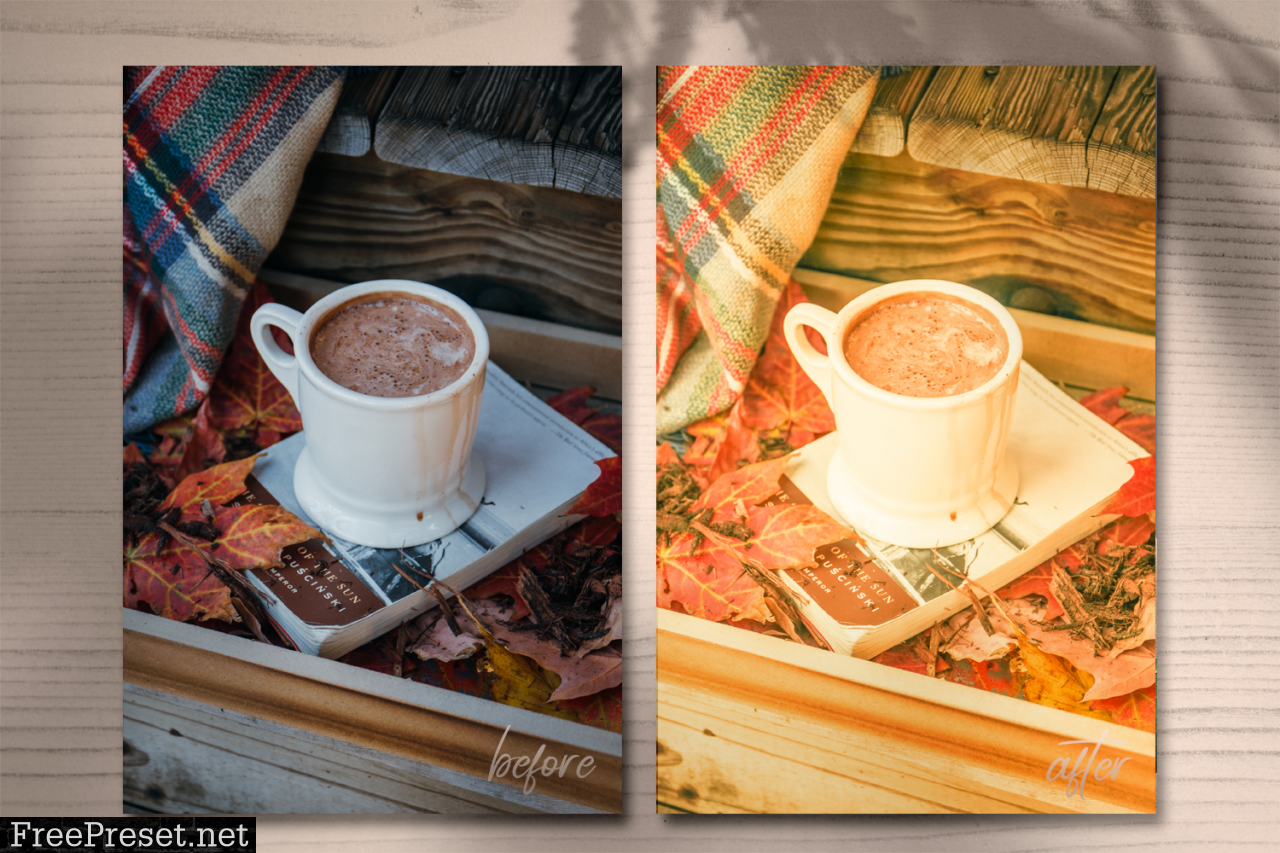 Autumn Presets Summer Lightroom 1695831