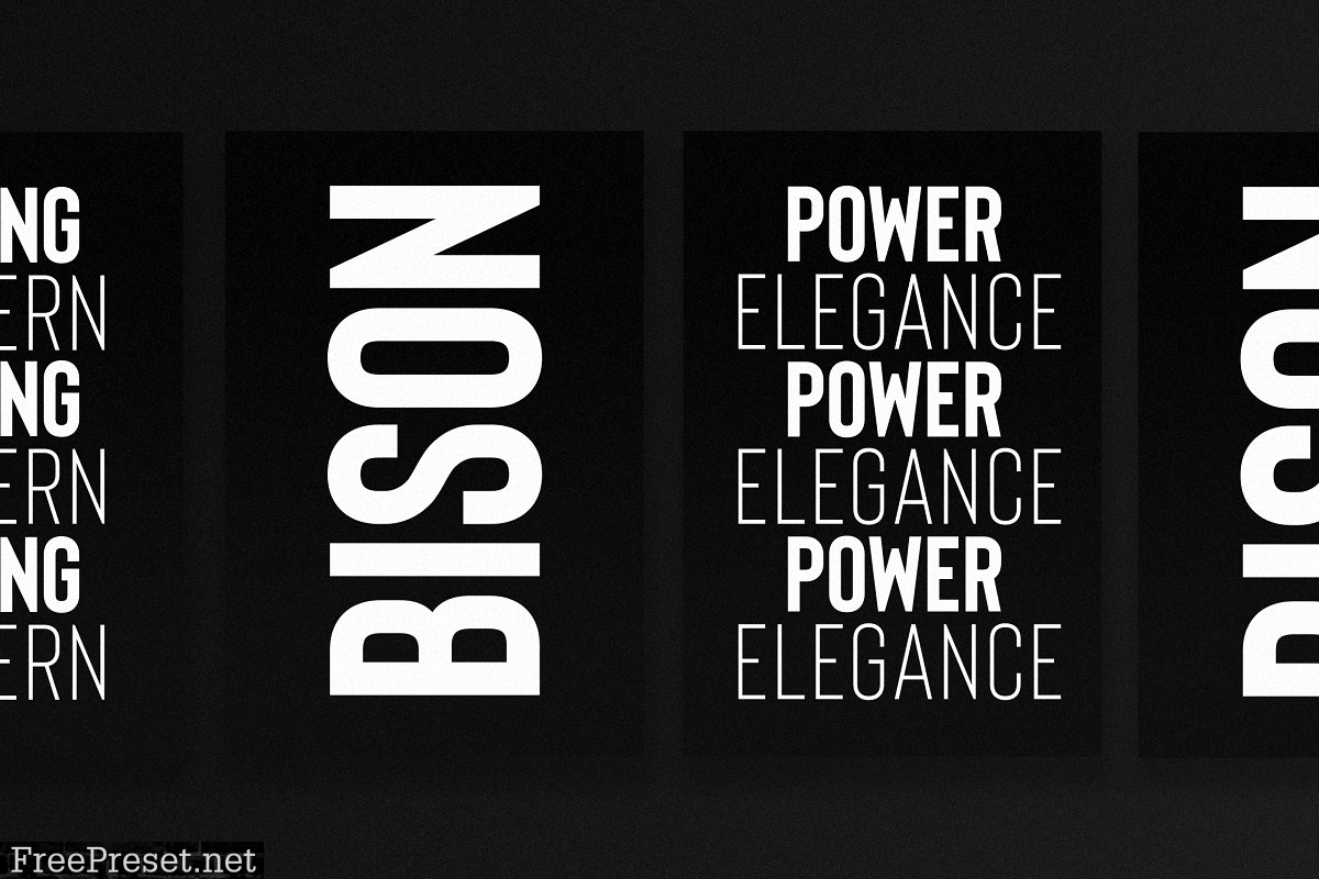 Bison - A Powerful Sans Serif 2361604