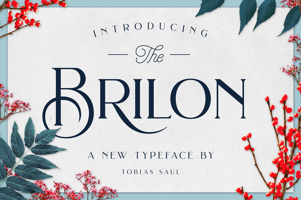 Brilon Font + Extras 1963894
