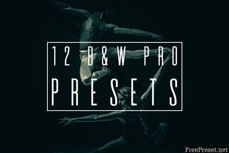 B&W Pro Presets 1166902