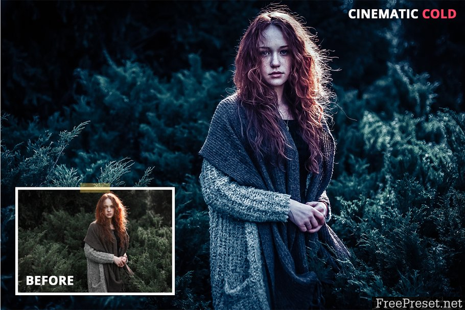 Cinematic - Lightroom Presets 1255398