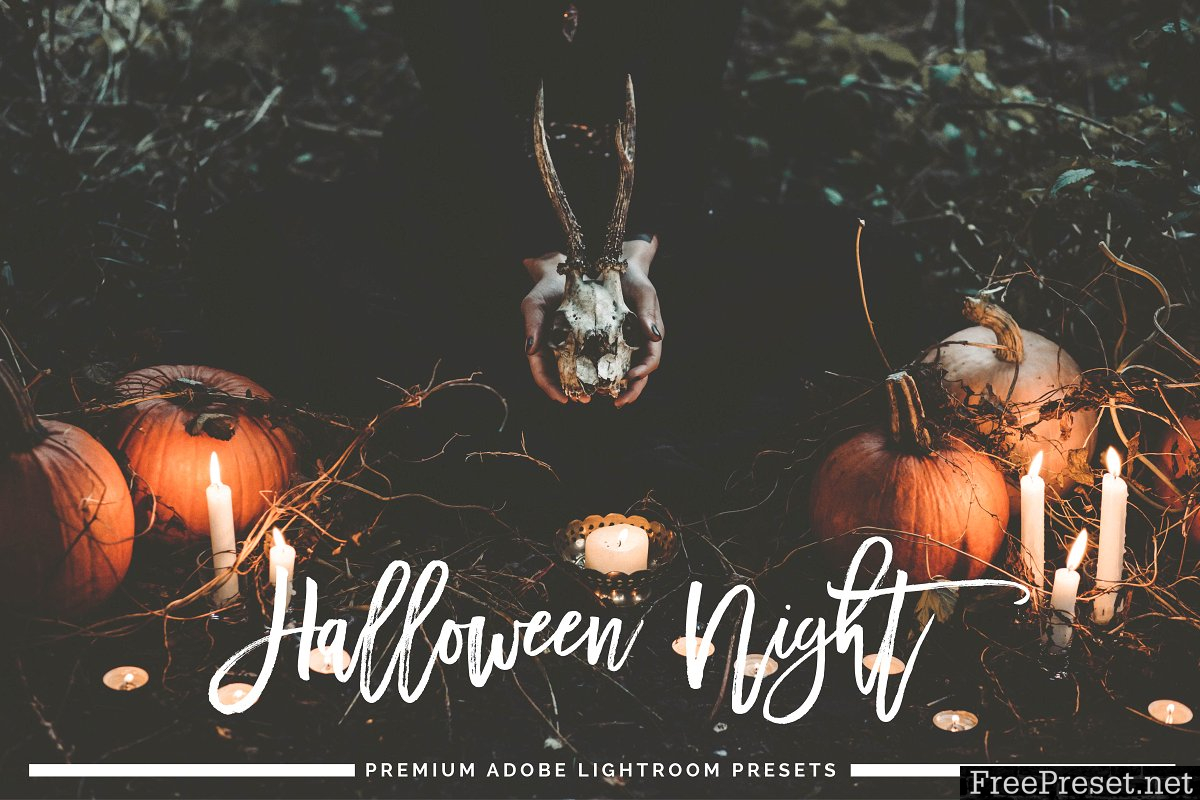 Halloween Night Lightroom Preset 938935