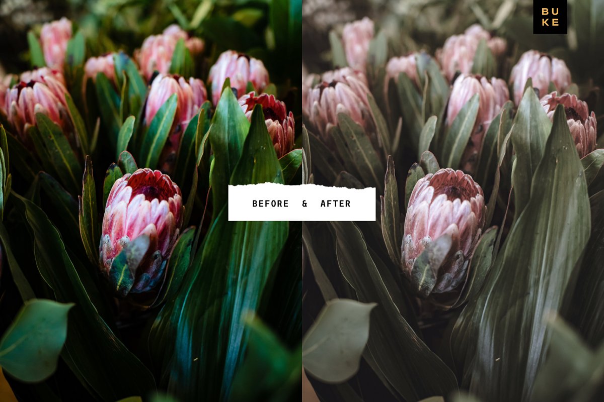 Le Natures Neutral Lightroom Presets 4001970