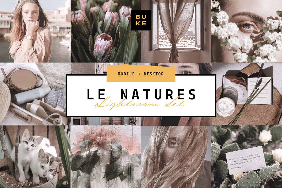 Le Natures Neutral Lightroom Presets 4001970