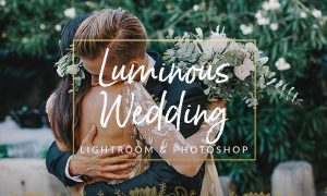 Luminous Film Tones Wedding Presets 1310381