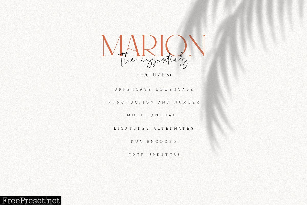 MARION & The Essentials - Logo Font 3906902