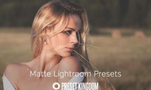 Matte Lightroom Presets 459669
