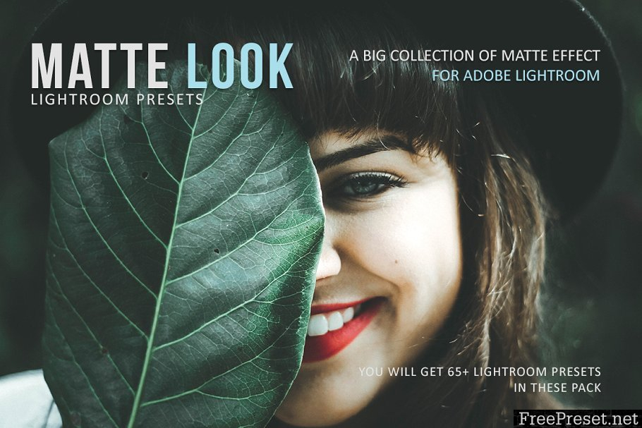 Matte Look Lightroom Presets 1112397