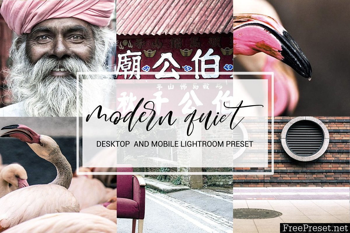 Modern Quiet Lightroom Preset 1179841