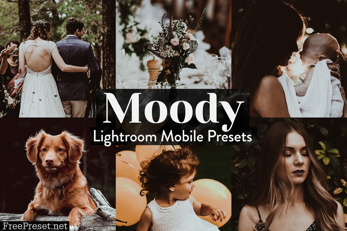 Moody Lightroom Presets Mobile 4015357