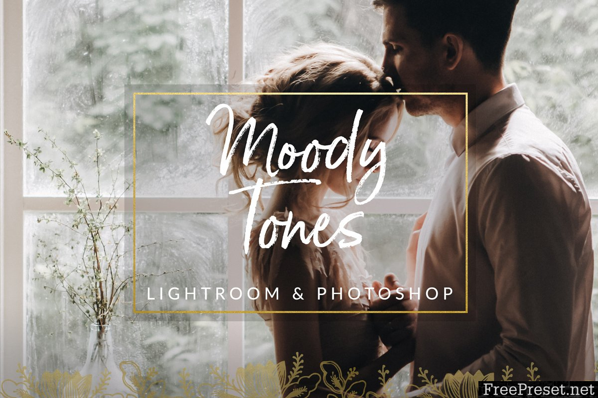 Moody Tones Wedding LR PS Filters 1329496