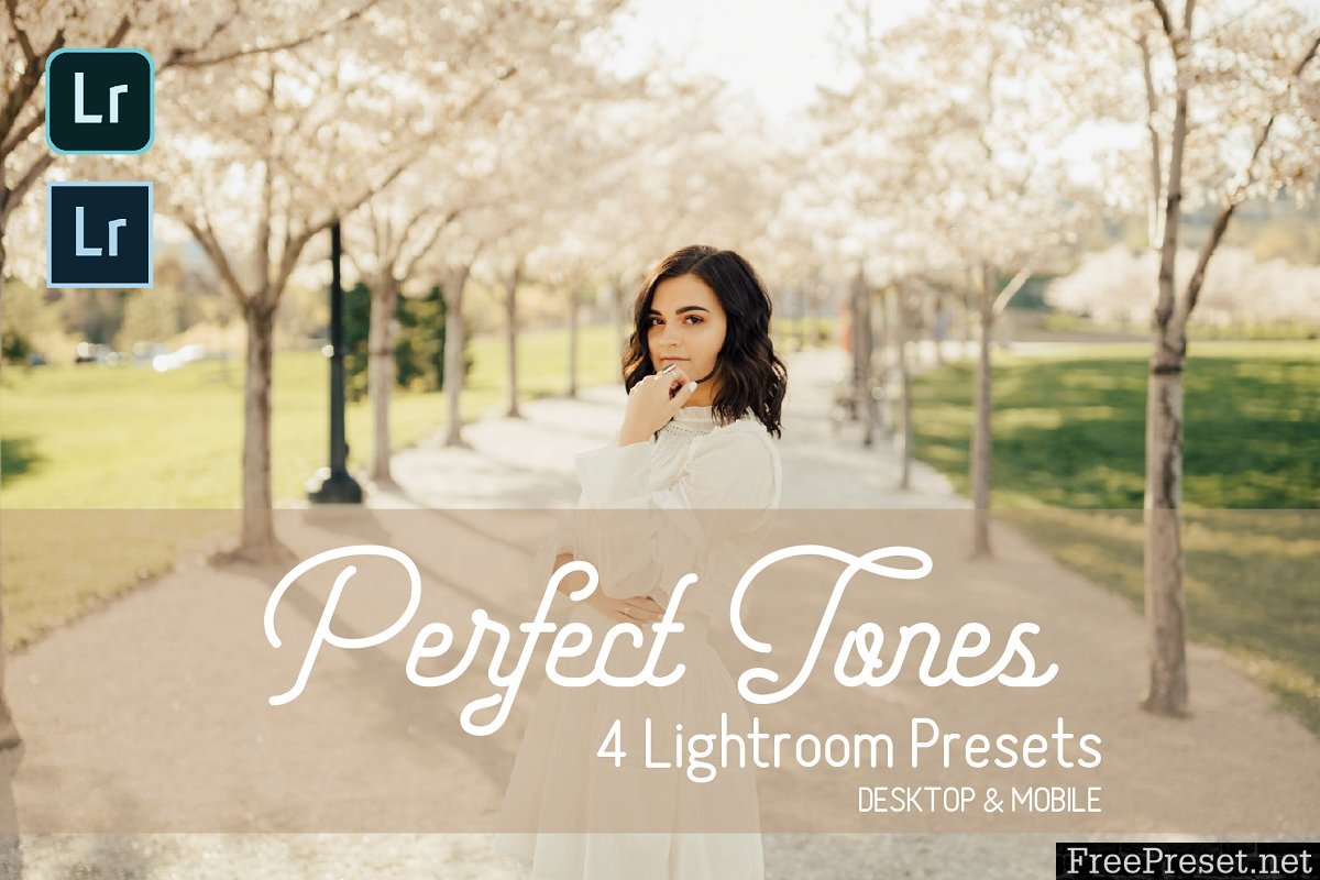 Perfect Tones Lightroom Presets 3979543