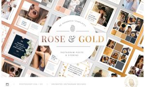 ROSE & GOLD Animated Instagram Pack 2606735